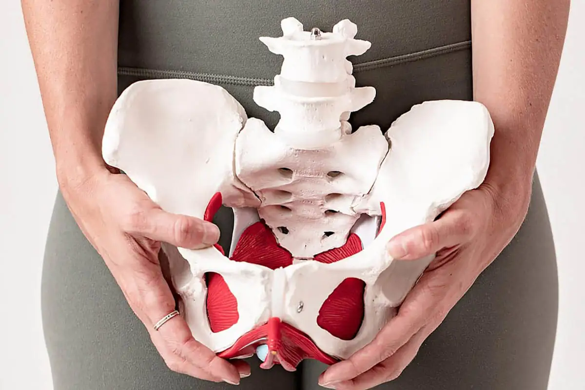 Imagem ilustrativa — fisioterapia pélvica